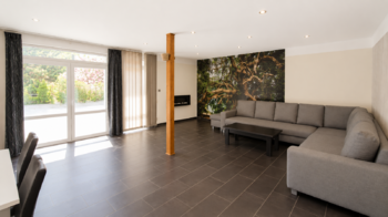 Prodej domu 524 m², Skršín