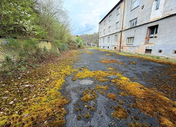 Pronájem pozemku 703 m², Solenice