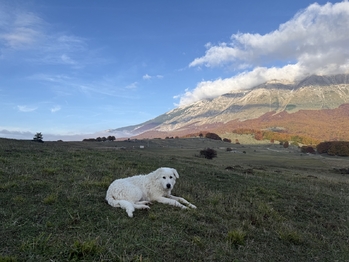 Prodej domu 134 m², Penne