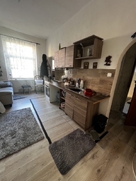Prodej nájemního (činžovního) domu 400 m², Teplice
