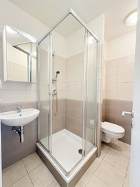 Pronájem bytu 1+1 v osobním vlastnictví 36 m², Litoměřice