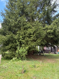Prodej chaty / chalupy 25 m², Kaliště