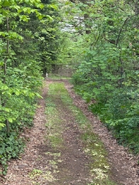 Prodej chaty / chalupy 25 m², Kaliště
