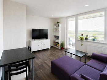OBÝVACÍ POKOJ - Prodej bytu 2+kk v osobním vlastnictví 46 m², Brno 