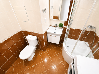 KOUPELNA - Prodej bytu 2+kk v osobním vlastnictví 46 m², Brno