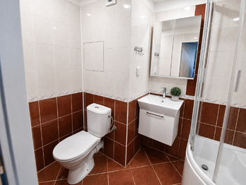 KOUPELNA - Prodej bytu 2+kk v osobním vlastnictví 46 m², Brno