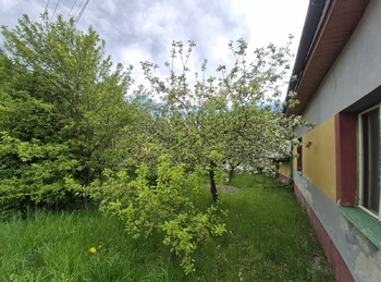 Prodej chaty / chalupy 269 m², Rohozná