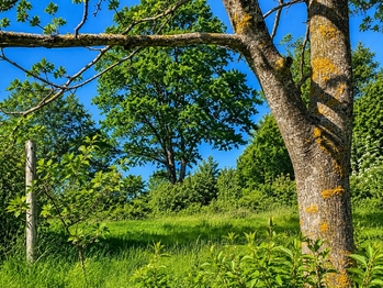 Prodej pozemku 1625 m², Luhačovice