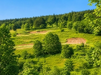 Prodej pozemku 1625 m², Luhačovice