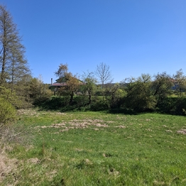 Prodej pozemku 2136 m², Letovice