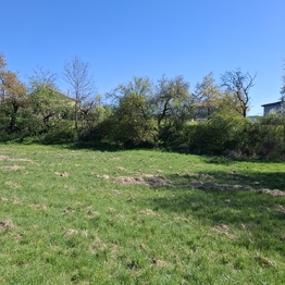 Prodej pozemku 2136 m², Letovice