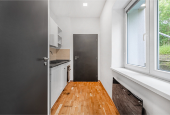 Prodej bytu 1+1 v osobním vlastnictví 35 m², Petrovice