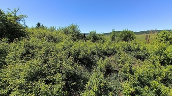 Prodej domu 85 m², Vroutek