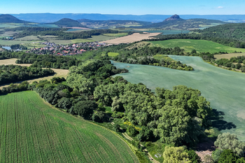Prodej pozemku 5841 m², Skršín