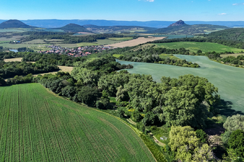 Prodej pozemku 5841 m², Skršín