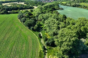 Prodej pozemku 5841 m², Skršín