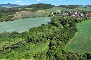 Prodej pozemku 5841 m², Skršín