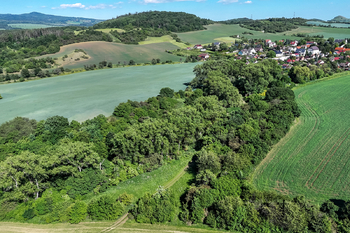 Prodej pozemku 5841 m², Skršín