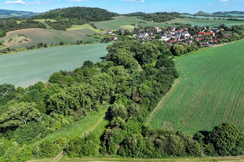 Prodej pozemku 5841 m², Skršín