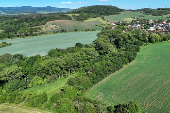 Prodej pozemku 5841 m², Skršín