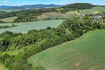 Prodej pozemku 5841 m², Skršín