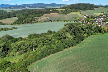Prodej pozemku 5841 m², Skršín