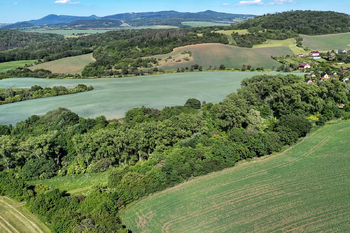 Prodej pozemku 5841 m², Skršín