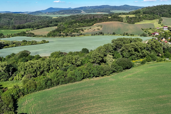 Prodej pozemku 5841 m², Skršín
