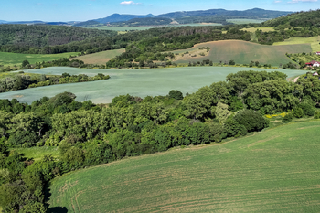 Prodej pozemku 5841 m², Skršín
