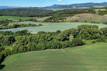 Prodej pozemku 5841 m², Skršín