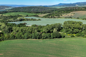 Prodej pozemku 5841 m², Skršín