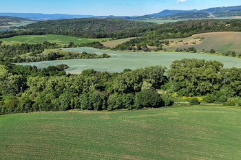 Prodej pozemku 5841 m², Skršín