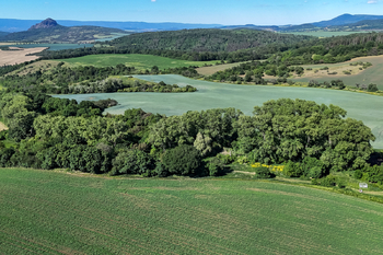 Prodej pozemku 5841 m², Skršín