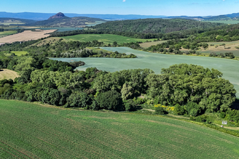 Prodej pozemku 5841 m², Skršín