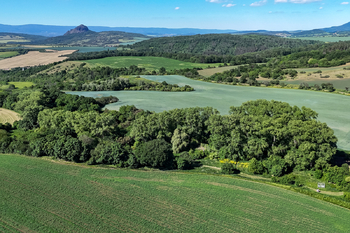 Prodej pozemku 5841 m², Skršín