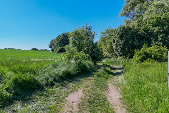 Prodej pozemku 5841 m², Skršín