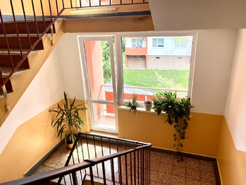 Pronájem bytu 3+1 v osobním vlastnictví 76 m², Kyjov