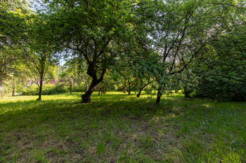 Stavební pozemek - Hvězdonice - okres Benešov - Prodej pozemku 956 m², Hvězdonice