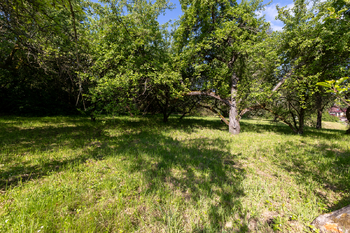 Stavební pozemek - Hvězdonice - okres Benešov - Prodej pozemku 956 m², Hvězdonice