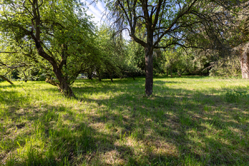 Stavební pozemek - Hvězdonice - okres Benešov - Prodej pozemku 956 m², Hvězdonice