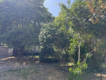 společná zahrada - Pronájem bytu 2+kk v osobním vlastnictví 46 m², Praha 4 - Nusle