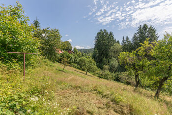 Výhled ze zahrady - Prodej chaty / chalupy 190 m², Zlatá Olešnice
