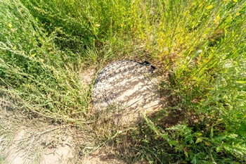 Prodej pozemku 1052 m², Radim