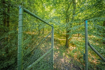 Prodej chaty / chalupy 16 m², Nižbor