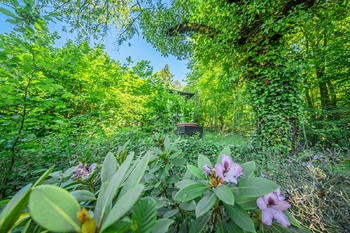 Prodej chaty / chalupy 16 m², Nižbor
