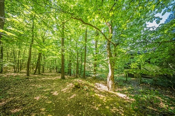 Prodej chaty / chalupy 16 m², Nižbor