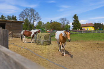 Prodej zemědělského objektu 442 m², Vyskytná nad Jihlavou