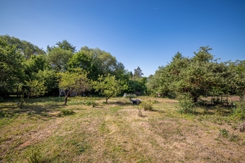 Prodej chaty / chalupy 44 m², Dobřany
