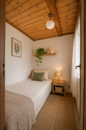 Vizualizace - Prodej chaty / chalupy 44 m², Dobřany