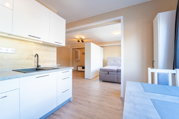 Prodej bytu 1+1 v osobním vlastnictví 42 m², Kolín